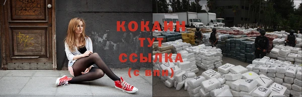 гидра Богородицк