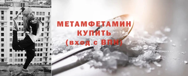 гидра Богородицк