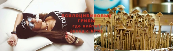 соль курить ск Богданович