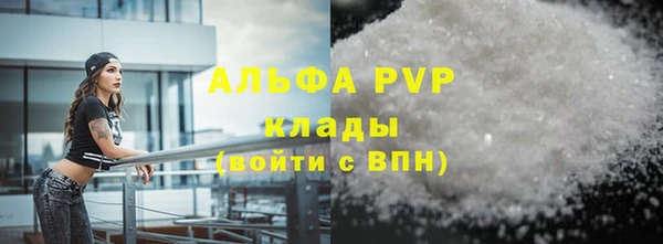 гидра Богородицк