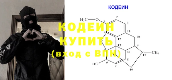 гидра Богородицк