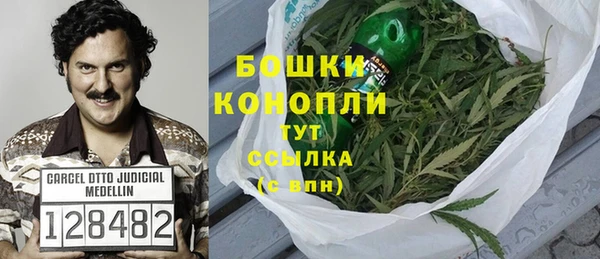 гидра Богородицк