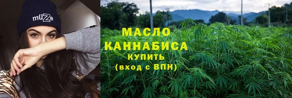 гидра Богородицк