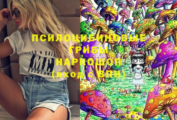 спайс Богородск