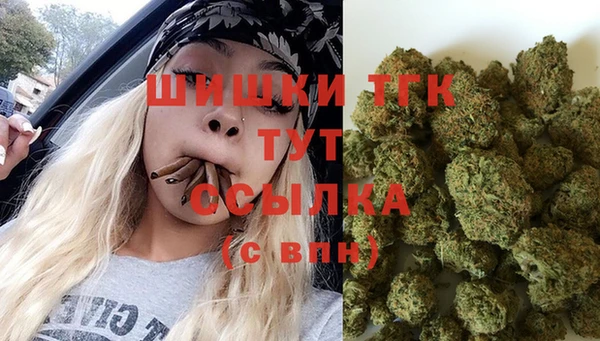 соль курить ск Богданович