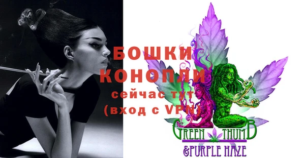 гидра Богородицк
