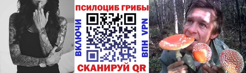 Псилоцибиновые грибы GOLDEN TEACHER  Купить где  Спасск 